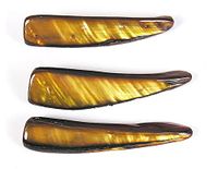 Parelmoer-schelp, glanzend, goud, 6 x 38 mm, 250 g, 104 u, ca.