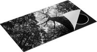 Chefcare Inductie Beschermer Boom in het Bos - Zwart Wit - 95x55 cm