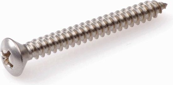 Hoenderdaal Fasteners Hoenderdaal zelftappende plaatschroeven RVS A2 PH-1 lenskop 2,9 x 19 mm 200 stuks