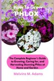 How Libri GmbH How to Grow Phlox Flower for Beginners