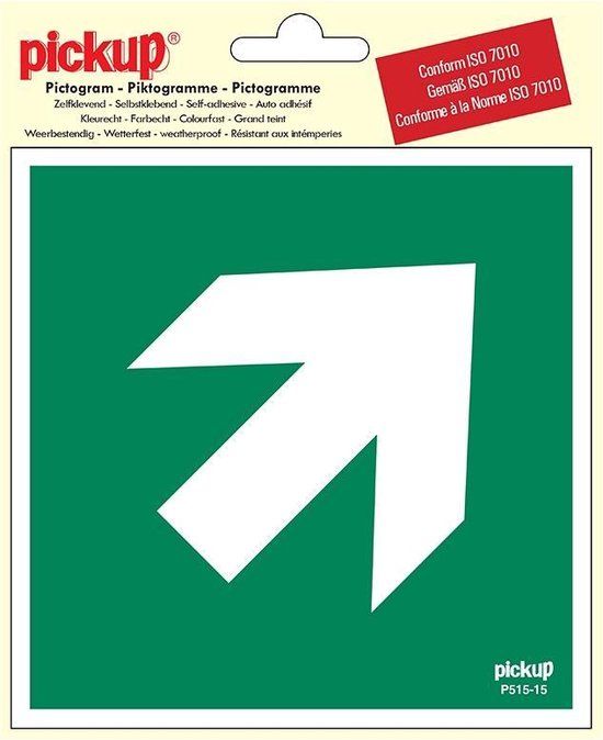 Pickup Pictogram 15x15 cm - Richtingspijl 45 - conform ISO 7010