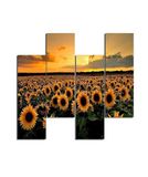 Homemania Muurfoto, zonnebloemen, 4 stuks, natuur en landschap, voor woonkamer, meerkleurig, van MDF, 76 x 0,3 x 50 cm