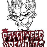 Sonic Rendezvous The Psychward Breakouts - Psychward Breakout (CD)