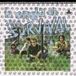 La Onda De The Survival - La Onda De The Survival (LP)