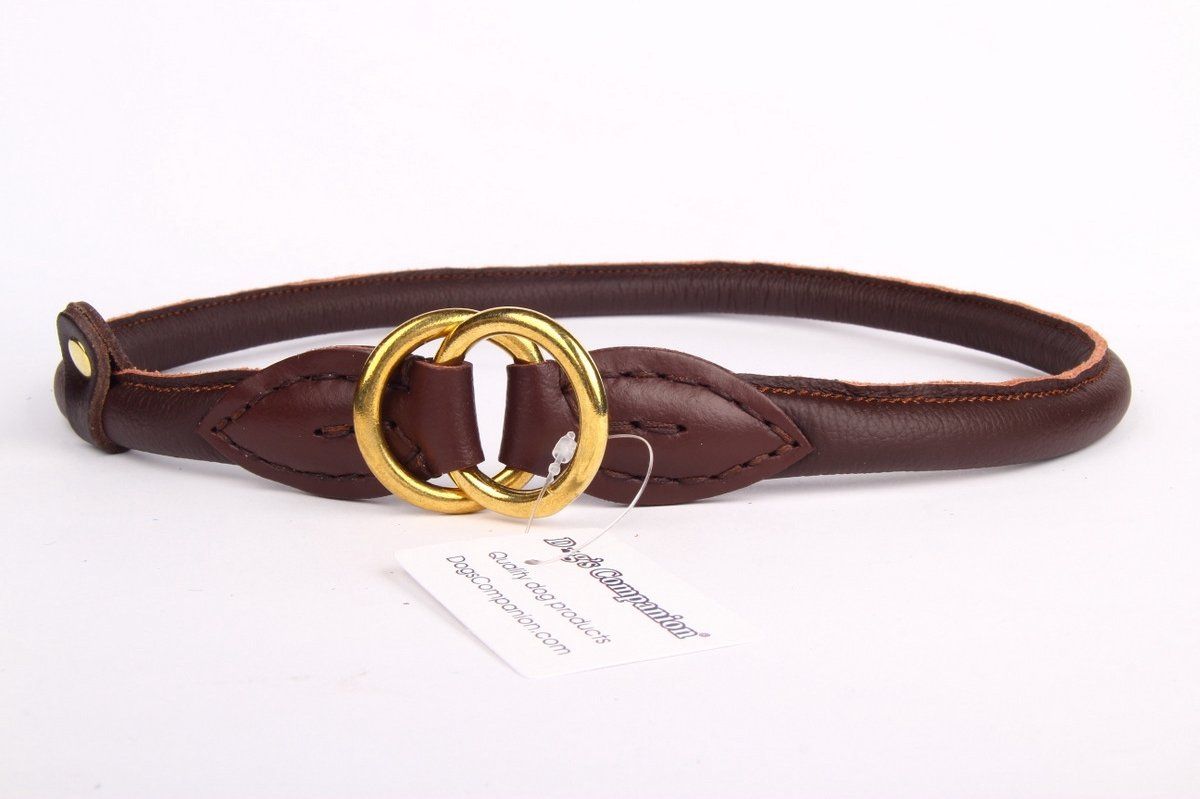 Dog's Companion Leren halsband - 50 cm x 8 mm - Messing - Bruin