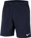 Nike Park 20 Broek Mannen - Maat L - Donkerblauw