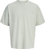 JACK&JONES JCOETERNA SCRIPT BACK PRINT TEE SS JNR Jongens T-shirt Aqua Gray 152