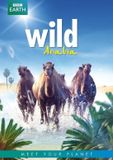 Dutch Film Works Mooiste Gebieden Op Aarde - Wild Arabia (DVD)
