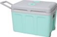 INCASA glacière thermoélectrique, 40 litres, 12/220V, vert