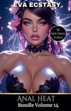 Anal Flash Erotica - Anal Heat - Anal Bundles Volume 14