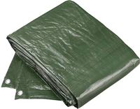 Meister FLOR80420 Beschermzeil, 6 x 8 m, 100 g/m², dubbelzijdig gecoat, waterafstotend en UV-gestabiliseerd, schimmelbestendig, van polyethyleen, zeildoek, afdekzeil, tuinzeil