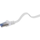 Renkforce RF-4149840 RJ45 Netwerkkabel, patchkabel CAT 6A U/FTP 1.00 m Grijs