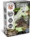 Science4you Glow in the Dark Fossil Excavation T-Rex – Opgravingsset Dino Fossiel – Inclusief beitel & hamer – Vanaf 6 jaar