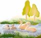 Ostheimer en bois cygne