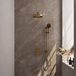 Brauer Stripe thermostatische inbouw regendouche 3-weg rechthoekig SET 22 met 25 cm douchekop en rechte muurarm en 3-standen handdouche en doucheslang en geintegreerde glijstang goud geborsteld PVD