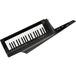 Korg RK-100S 2 noir keytar