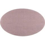 Flex 534174 Flex-netwerkschuurmiddel Diamètre 225 mm 12 pièce(s)