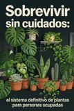 Sobrevivir sin cuidados: el sistema definitivo de plantas para personas ocupadas