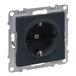 Legrand 765420 Inzetstuk Beveiligde contactdoos Seano Antraciet 10 stuk(s)