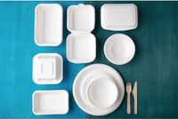Fiesta Green Composteerbare Bagasse Hamburgerbakjes 14,9cm DW247