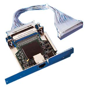 Zebra Net 10/100 Print Server - Wired - 100 Mbit/s - Blue, Purple