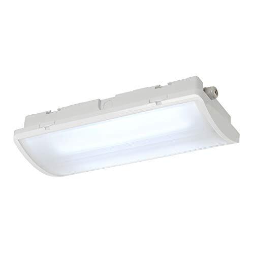 SLV wand- en plafondopbouwarmatuur P-LIGHT / verlichting voor wanden, wegen, ingangen, tuinlamp, plafondspot / IP65 6000K 6,5 W 100 lm wit 110 graden