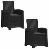vidaXL Ligstoel Rieten Look 2 st Antracietkleurig PP
