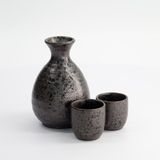Merkloos / Sans marque Tokyo Design Studio Sake Set Kuro Tetsusabi 3-delig
