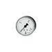 RIEGLER 101746-210/1-K standaardmano, KS-G., G 1/4 midden achter 0-100,0 bar, Ø 50, 1 st.