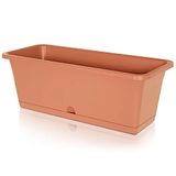 Prosperplast Pot de fleurs Camelia, dimensions (mm) 595 x 170 x 143, terre cuite