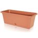 Prosperplast Pot de fleurs Camelia, dimensions (mm) 595 x 170 x 143, terre cuite