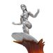 Marvel Legends Series Silver Surfer-actiefiguur