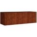 Maison Exclusive - Jardinière surélevée en acier Corten, dimensions 120x40x40 cm