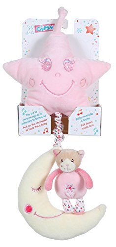 Gipsy muziekdoos Smile 34 cm Chat Rose Clair