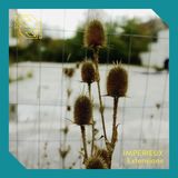 Bertus Distributie Extensions EP