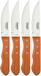 Tramontina Vleesmessenset Dynamic 25 cm Jumbo Hout Roestvrij staal 4 Stuks