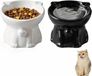 Merkloos / Sans marque 2 Pieces Raised Litter Box, 15 Degree Tilt, Anti-Fallow Bowl, Ceramic Feeder for Cats, Small Dogs, Food and Water (Black, White)