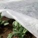 TENAX Ortoclima Plus 2,00 x 20 m blanc voile d'hivernage