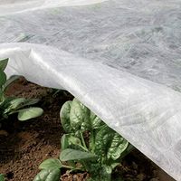 TENAX Ortoclima Plus 2,00 x 20 m blanc voile d'hivernage