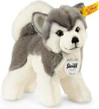 Steiff (UIT COLLECTIE) Steiff Bernie Husky knuffel 17 cm