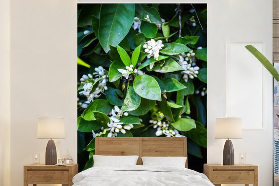 Nr1Wallpaper Behang - Fotobehang Oranjebloesem tussen de groene bladeren - Breedte 225 cm x hoogte 350 cm