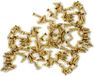 WTD Deutschland Set van 300 mini schroefjes (2.5x10 mm, verzonken, goudkleur)