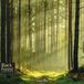 Wancelot Black Forest EN