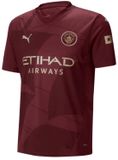 Puma Manchester City FC Derde T-shirt Heren Paars M