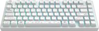 Dark Project ALU Terra Nova R2 - Draadloos Mechanisch Gaming Toetsenbord ANSI - Wit