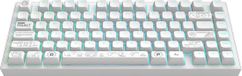 Dark Project ALU Terra Nova R2 - Draadloos Mechanisch Gaming Toetsenbord ANSI - Wit