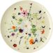 Brillance Rosenthal Brillance Grand Air Bord Coup 18 cm