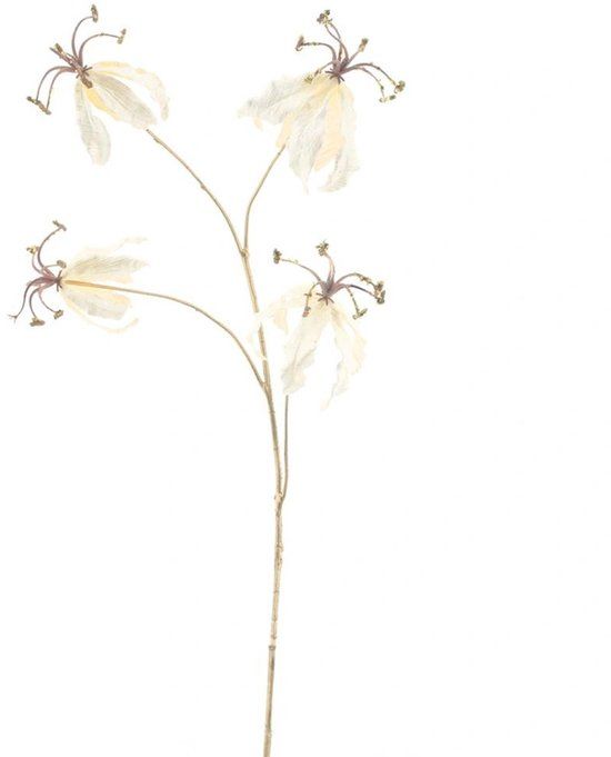 Buitengewoon Boet Buitengewoon de Boet Gloriosa lily spray ardesio creme 85 cm kunstbloem