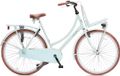 Antilope Cargo X1 Plus Transportfiets 28 Inch Muted Grayish - Blue