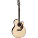 Takamine RNV460C guitare électro-acoustique western avec étui souple